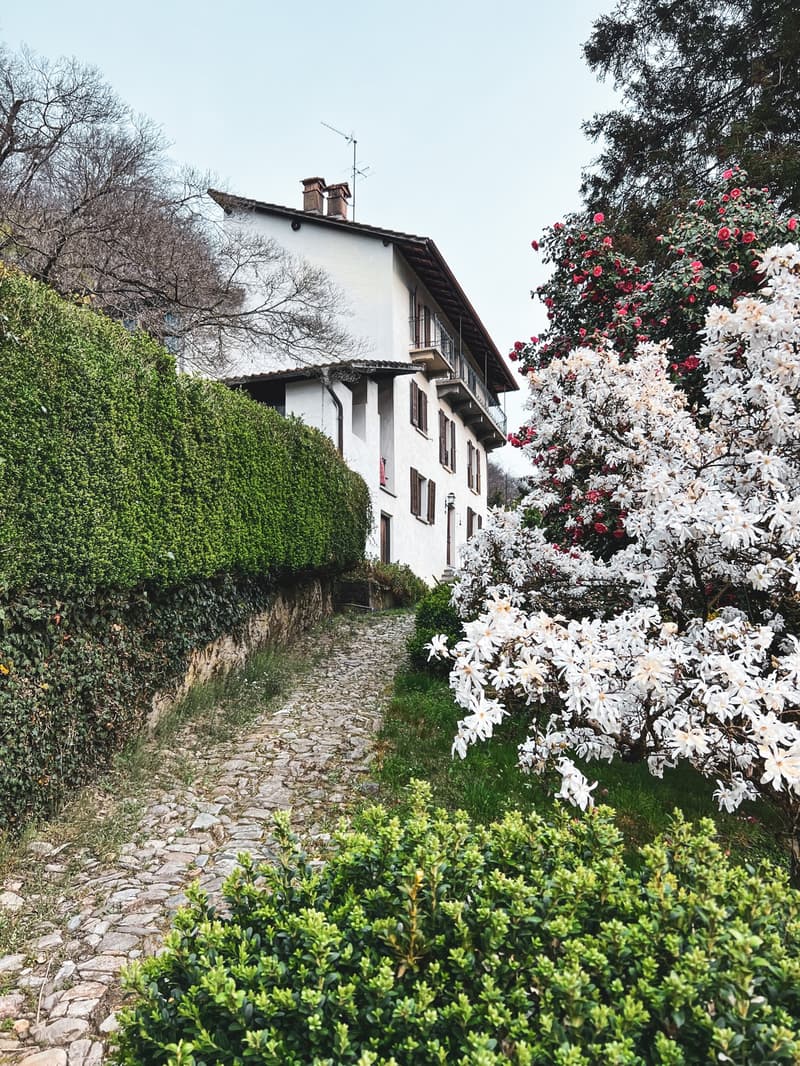 Affascinante casa ticinese con ampio giardino / Charmantes Tessiner Haus mit großem Garten (2)