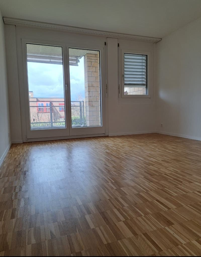 Duplex-/Maisonette-Wohnung in Münchenstein (2)