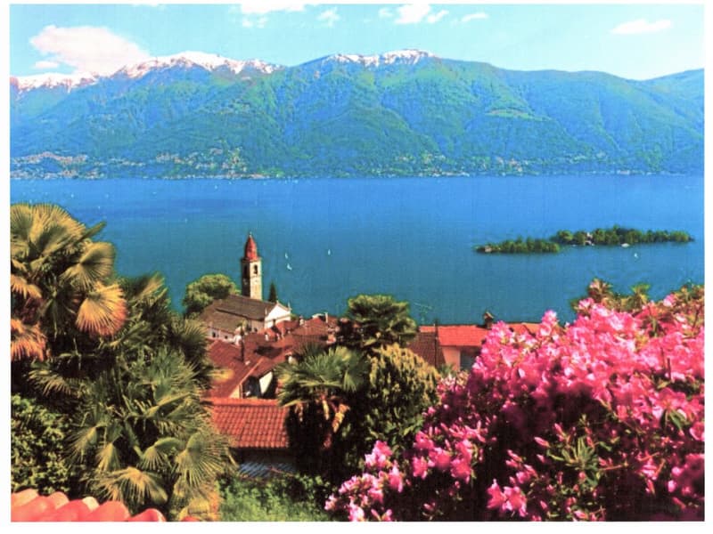 Scenic view of a lakeside town surrounded by mountains, with colorful flowers and palm trees in the foreground.
