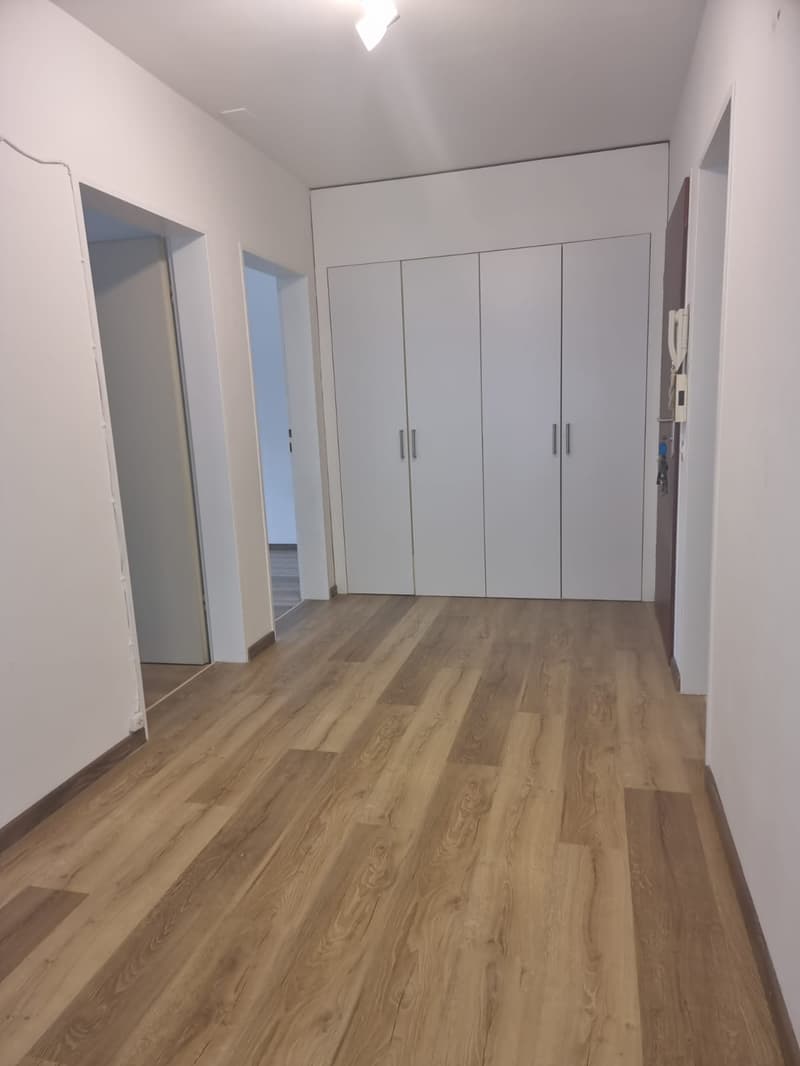 Neu renovierte 4.5 Zimmer Wohnung nahe SBB (1)