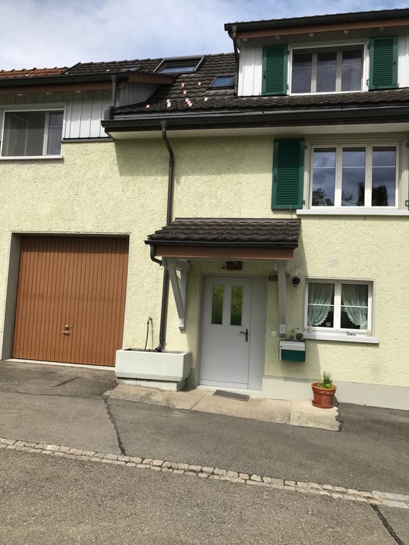 Doppeleinfamilienhaus in Dettighofen (Lengwil) (11)