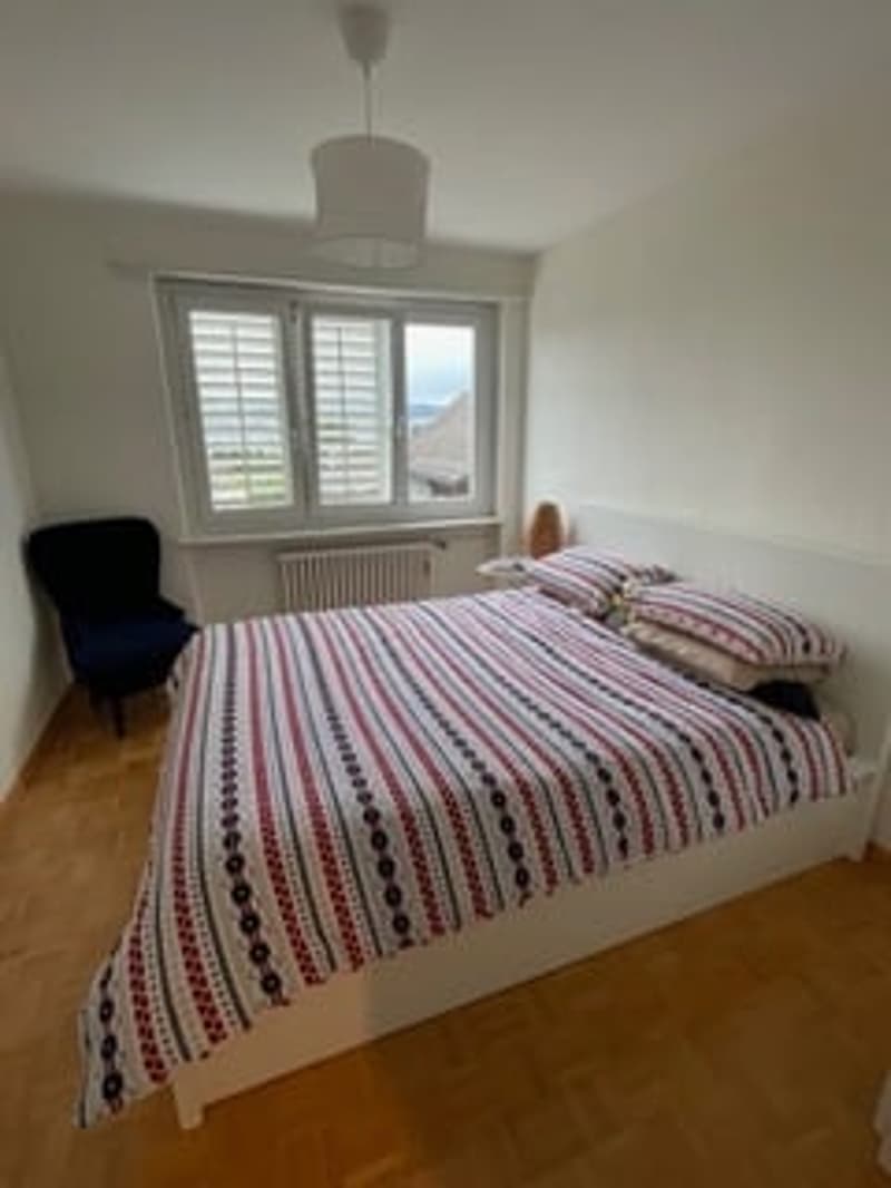 2.5-Zimmer-Wohnung in Männedorf mit Seesicht (16)
