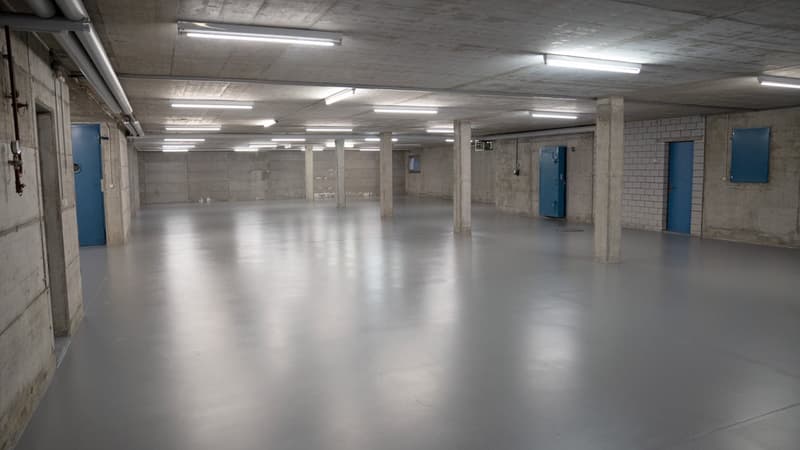 Grosse Garage / Lager und Industrie auf 940 m2 mit Tor in Wittenbach (1)