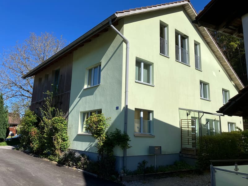 Doppeleinfamilienhaus in Steg im Tösstal (1)