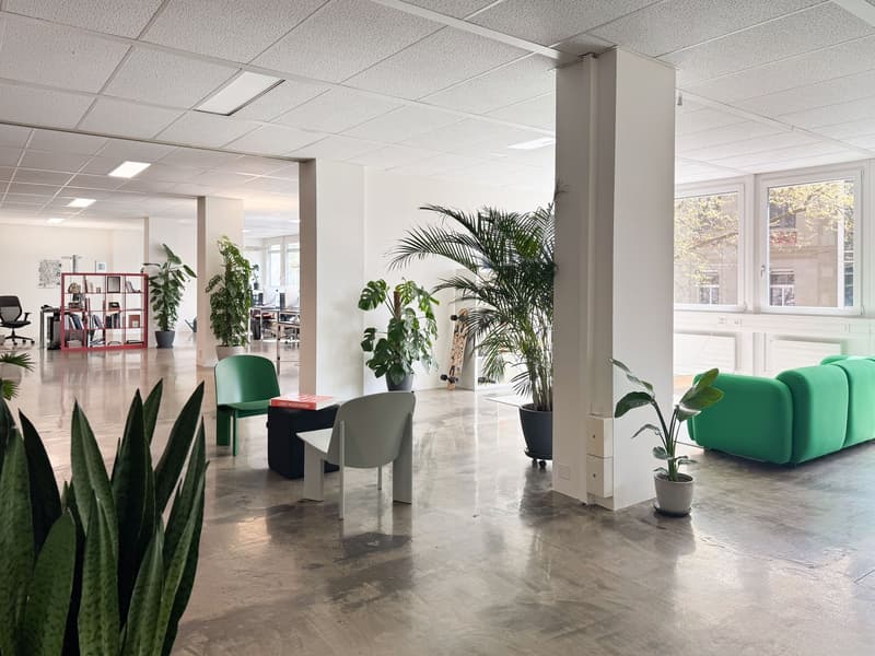 Grands bureaux ouverts en plein centre de Lausanne (1)