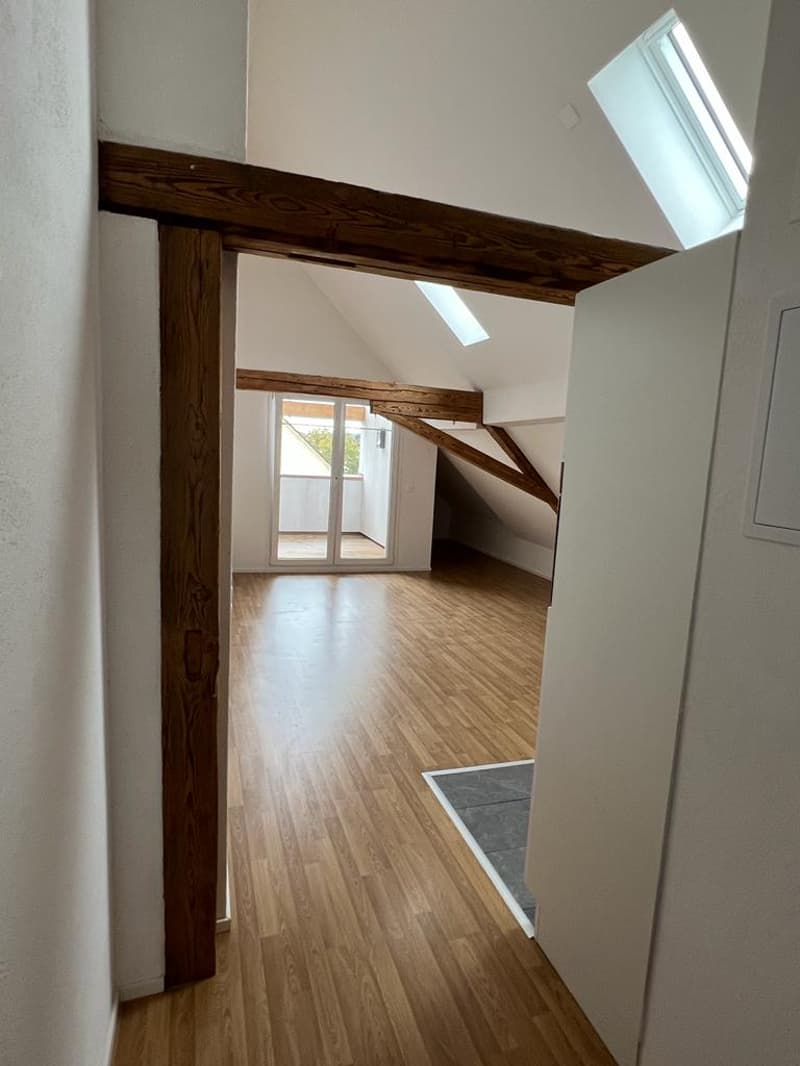 Charmante Dachwohnung in Pfyn zu vermieten! (2)
