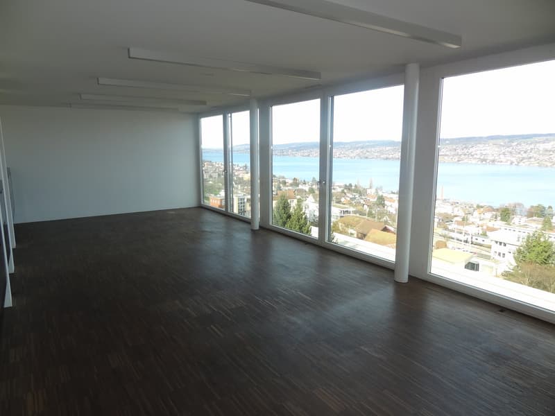 Hochwertige Büro-/Praxisräume mit einmaliger Aussicht (unverbaubar) auf den Zürichsee (1)