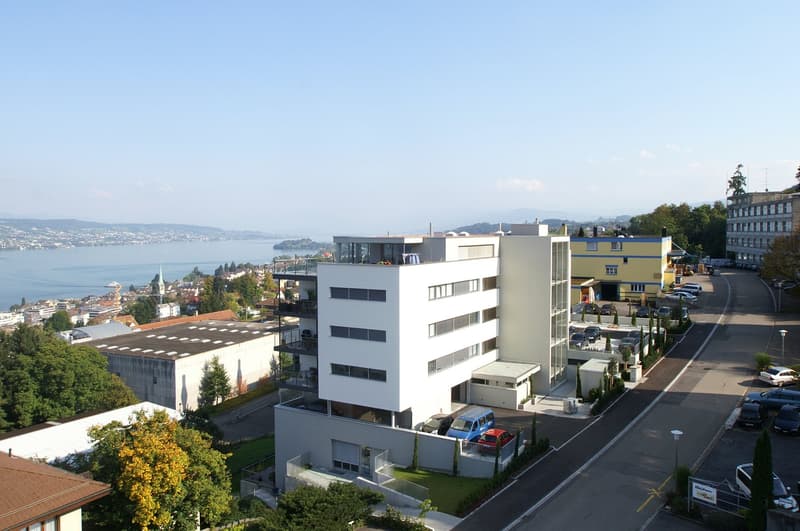 Hochwertige Büro-/Praxisräume mit einmaliger Aussicht (unverbaubar) auf den Zürichsee (13)