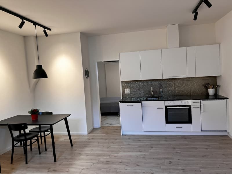 Möblierte 3.5 Zimmer Wohnung in Zürich Wiedikon (Kreis 3) (1)