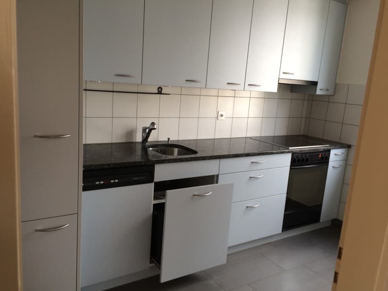 Küche mit Kühlschrank, Tiefkühler, GS und Combi Steamer (VZUG)