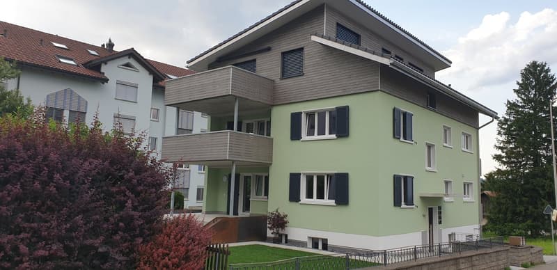 Neu renovierte 5.5 Zimmer Wohnung im 1. OG in Buttikon SZ (1)