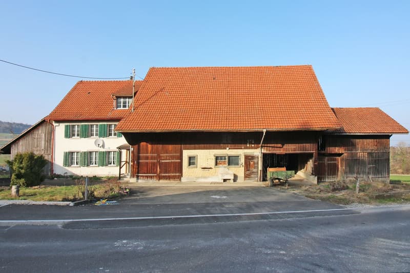 Bauland mit viel Potential und bestehendem Bauernhaus in Steinmaur/Sünikon (2)