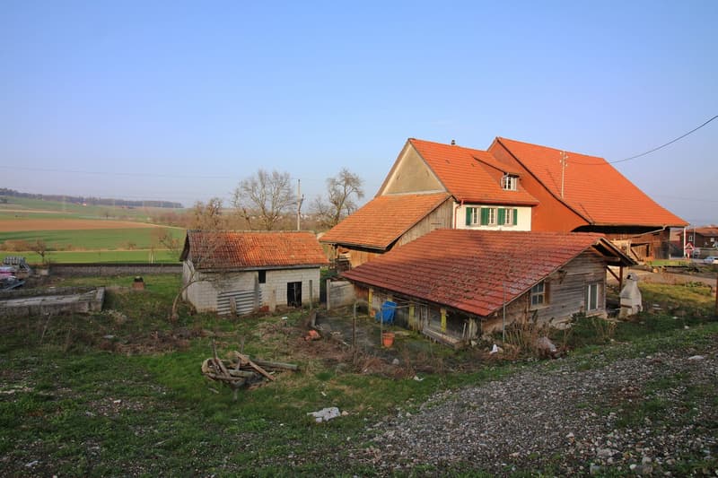Bauland mit viel Potential und bestehendem Bauernhaus in Steinmaur/Sünikon (1)