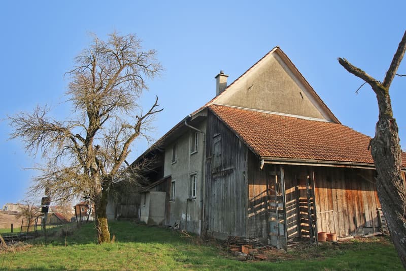 Bauland mit viel Potential und bestehendem Bauernhaus in Steinmaur/Sünikon (3)