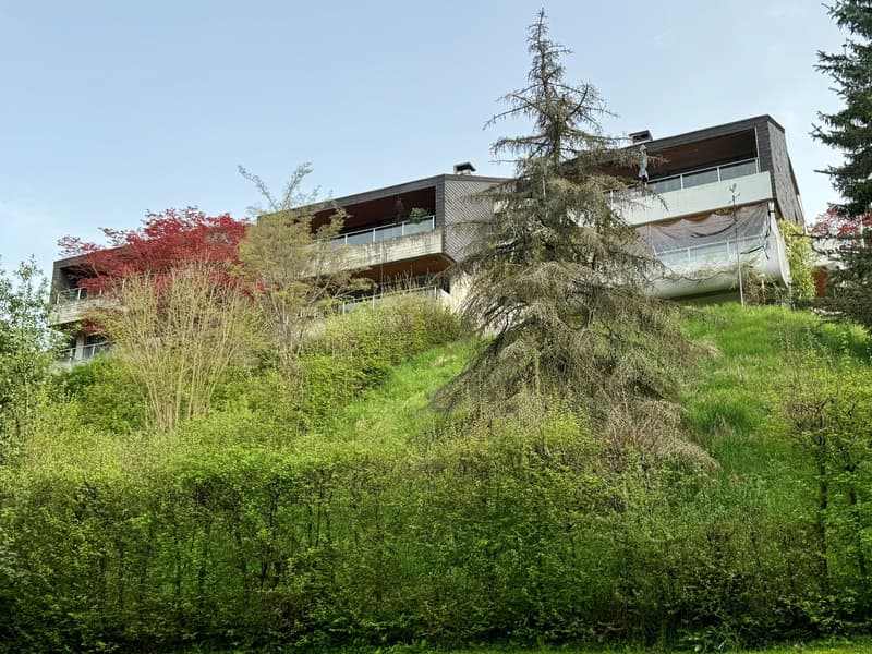 Reiheneinfamilienhaus mit einmaliger Aussicht auf Schloss, Obersee und Zürichsee (2)