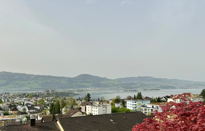 Reiheneinfamilienhaus mit einmaliger Aussicht auf Schloss, Obersee und Zürichsee (1)