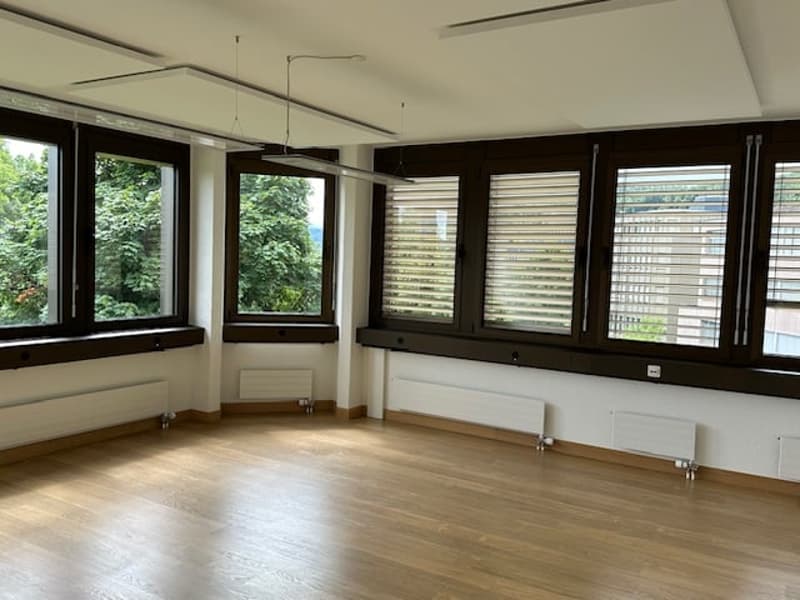 Large open room with hardwood floors, large windows overlooking a wooded area, and blinds on the windows.