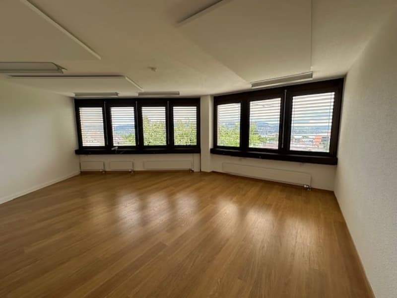 Large open room with hardwood floors, multiple windows providing a view of the surrounding area, and a clean, minimalist interior design.