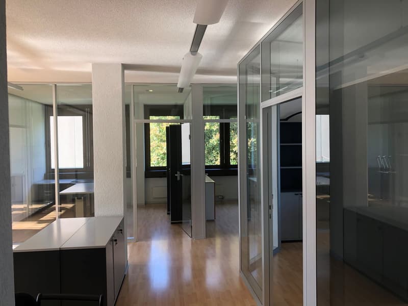 Office room with wooden floors, large windows, ceiling mounted lights, glass partition walls, large desks