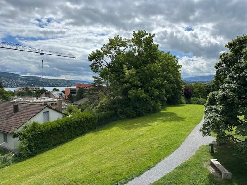 large grassy field, gravel pathway, trees, bushes, house, distant buildings, mountains, lake, crane