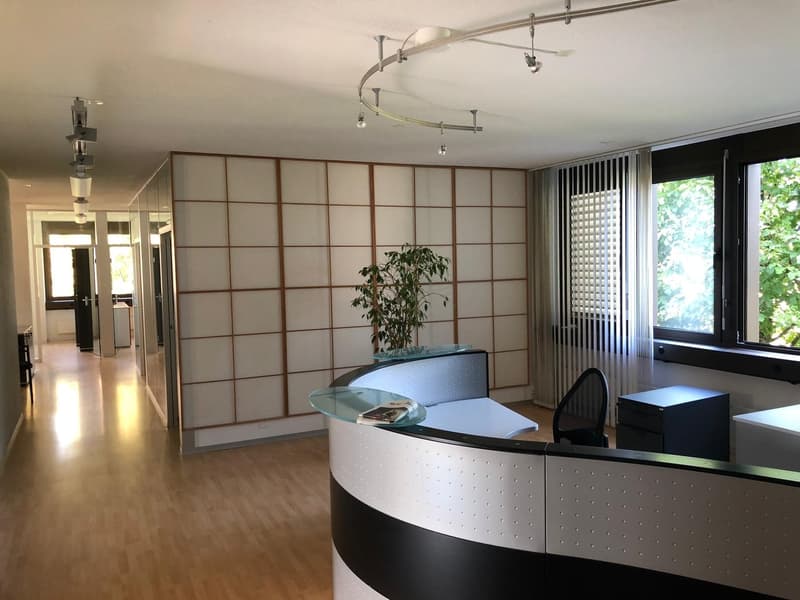 Reception area with a desk and chair, potted plant, wooden floor, glass wall, wooden door, radiators, track lighting, glass walls, windows with blinds.