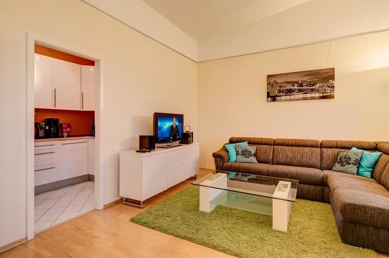 Appartamento ristrutturato con 3 camere da letto a Lugano (2)