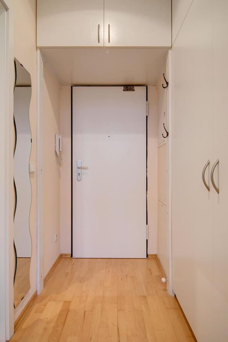 Appartamento ristrutturato con 3 camere da letto a Lugano (13)