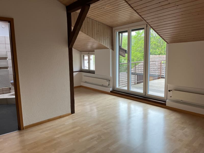 Wohnung in Dornach (2)