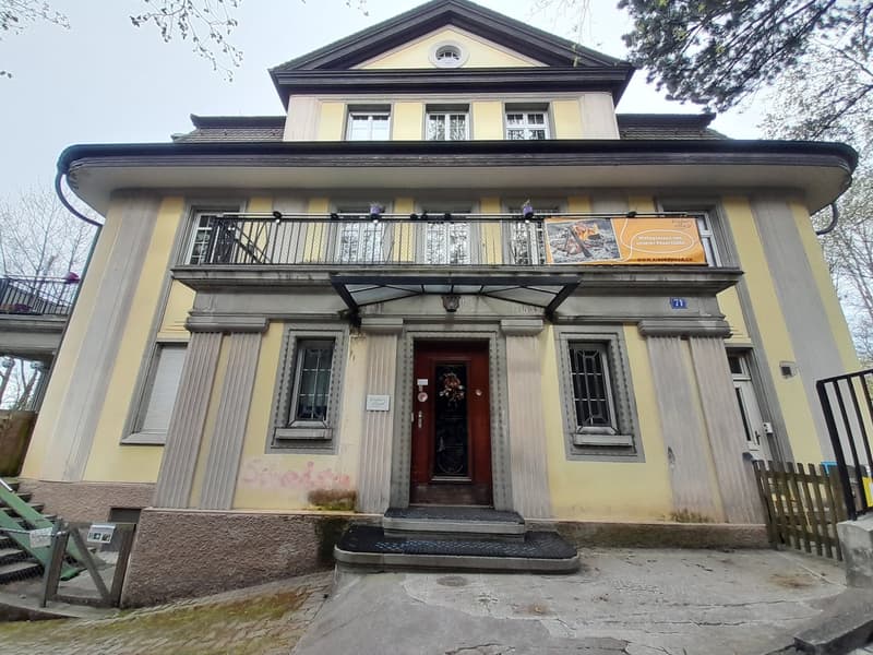 Historische Villa mit viel Umschwung am Zürichberg (1)