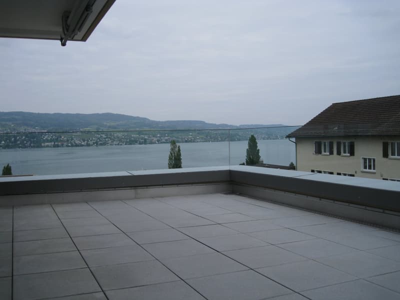 Terrasse mit Blick auf Zürichsee (28m2)