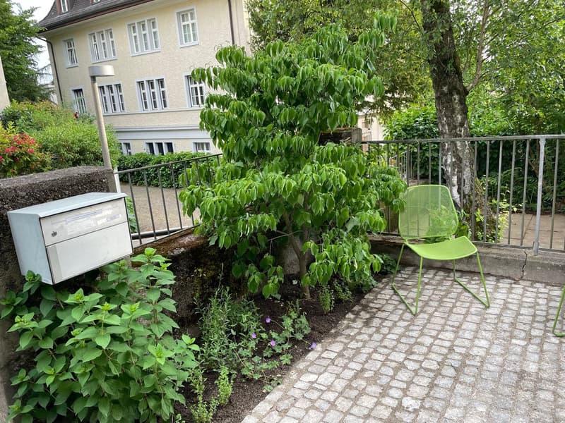 Schöne 2Zi. Wgh. mit Gartensitzplatz in Hottingen in Zürich (2)