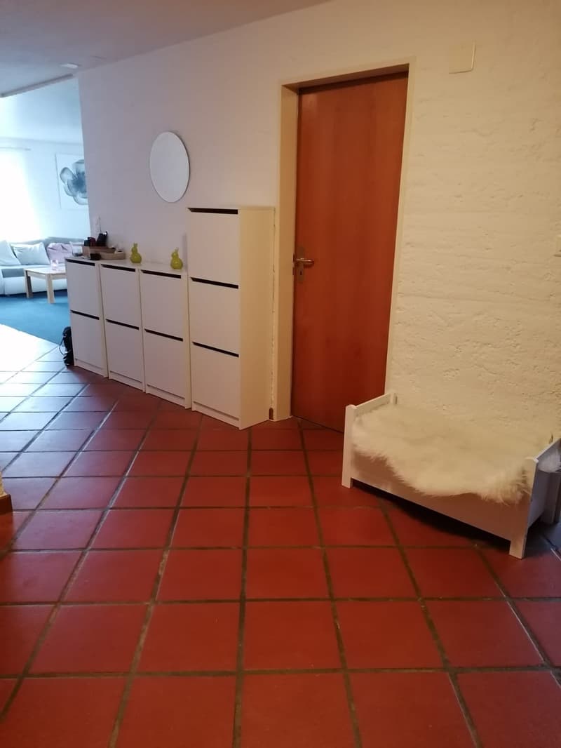 6 1/2-Zimmer Maisonette-Wohnung in Aadorf (1)
