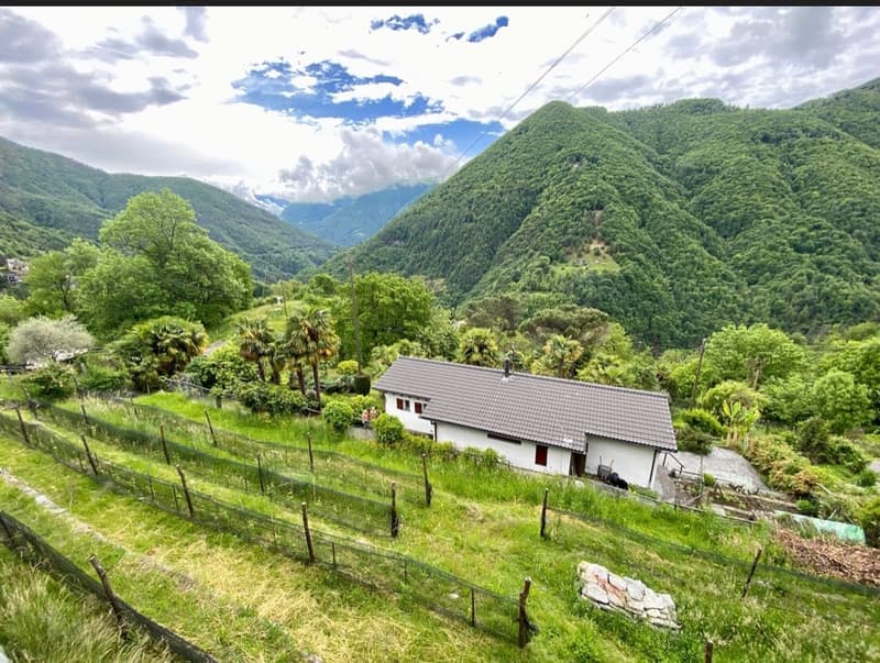 3-Zi Einfamilienhaus in Loco - im sonnigen Valle Onsernone - Sonnenstube Ticino (1)