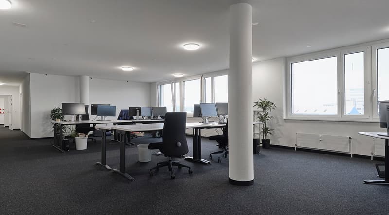 Multifunktionale Büro- und Gewerberäume inkl. Tiefgarage im Dreispitzareal in Basel (2)