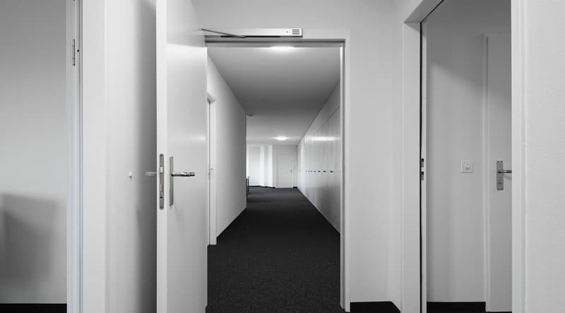 Multifunktionale Büro- und Gewerberäume inkl. Tiefgarage im Dreispitzareal in Basel (3)