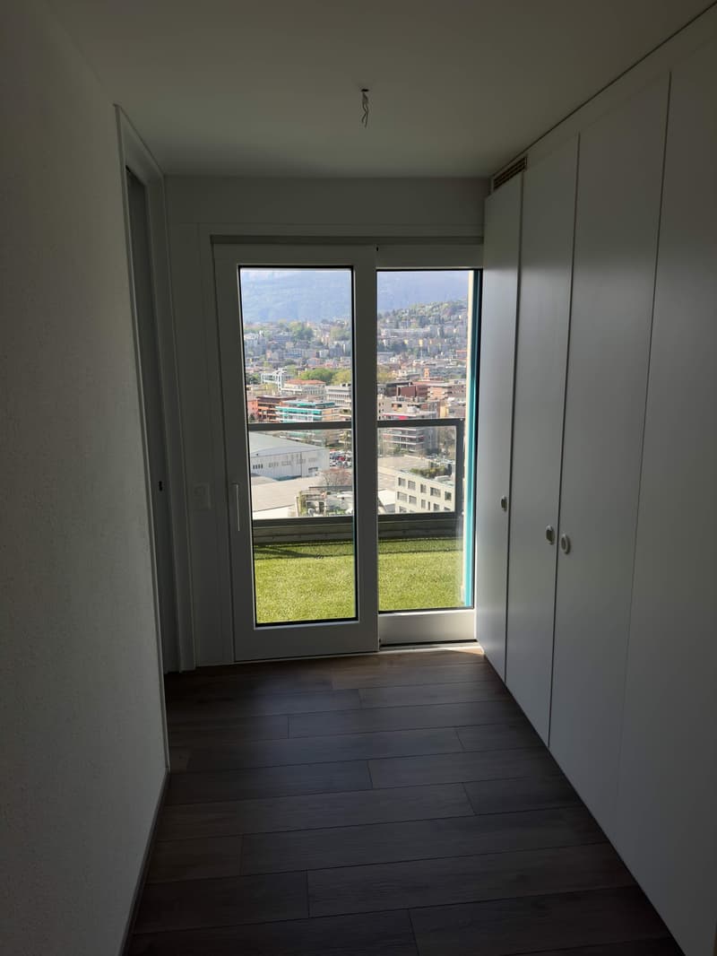 Roof top apartment in Lugano (5)