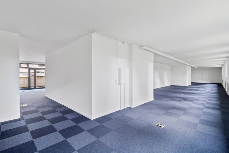 350m² bureau à louer à Fribourg (8)