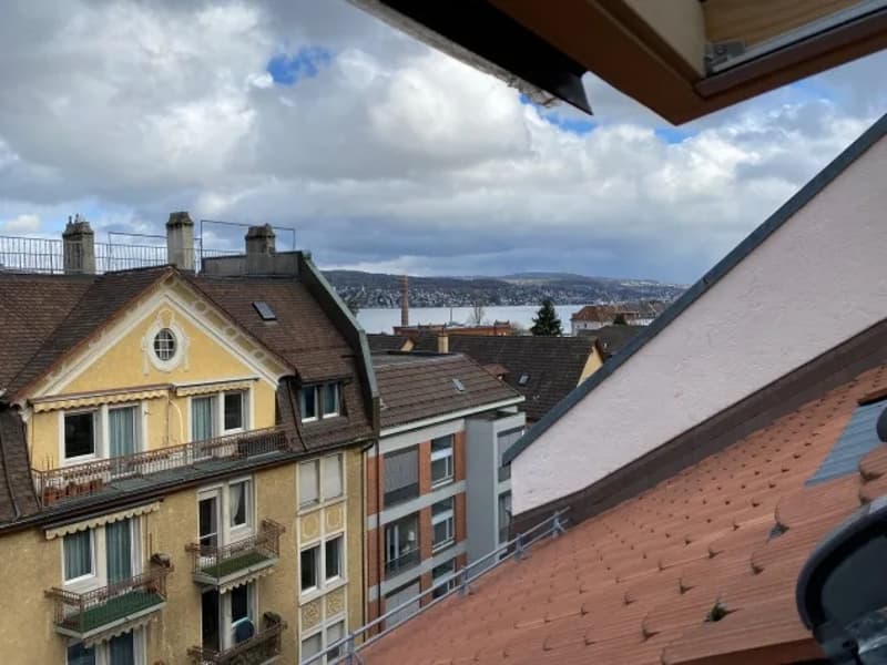 Apartment in Zurich (1)