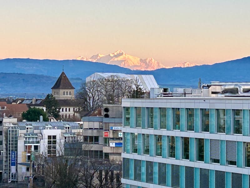 Modern 3 bedroom apartment in Nyon with view of Mont Blanc (12)