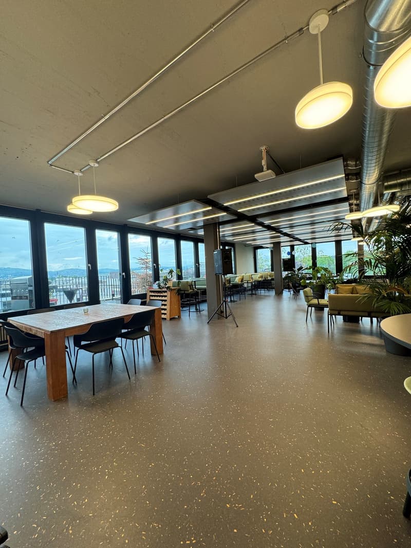 Attraktive helle Büroräumlichkeiten in Binz, Zürich (8)