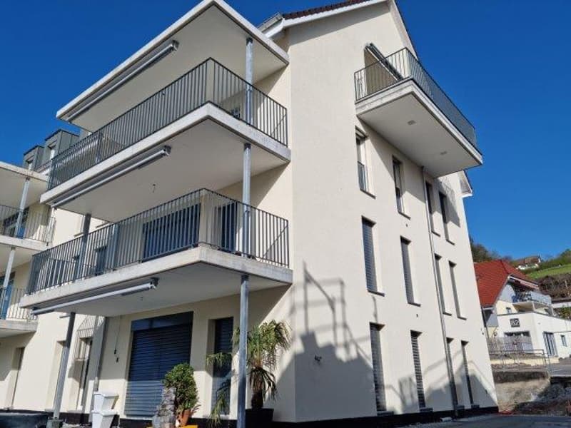 Zu Verkaufen 4.5 Zimmerwohnung in Niedergösgen  inklusiv Garage (1)