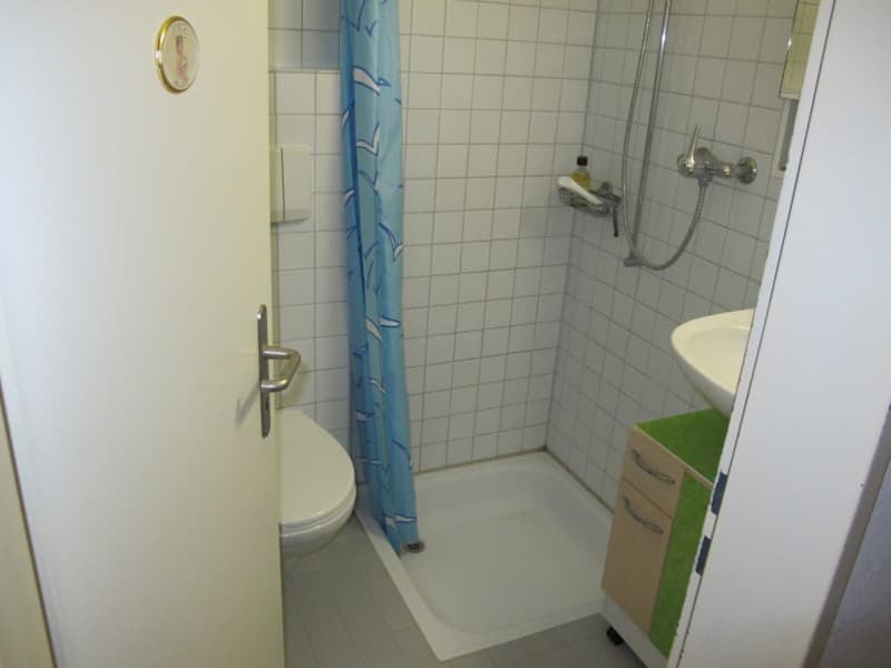 Möbliertes Studio mit eigener Küche und eigenem Badezimmer (Dusche) (4)