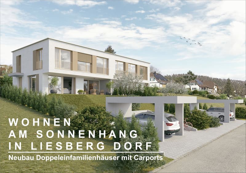 2.5 - Zimmer Doppeleinfamilienhaus in Liesberg (1)