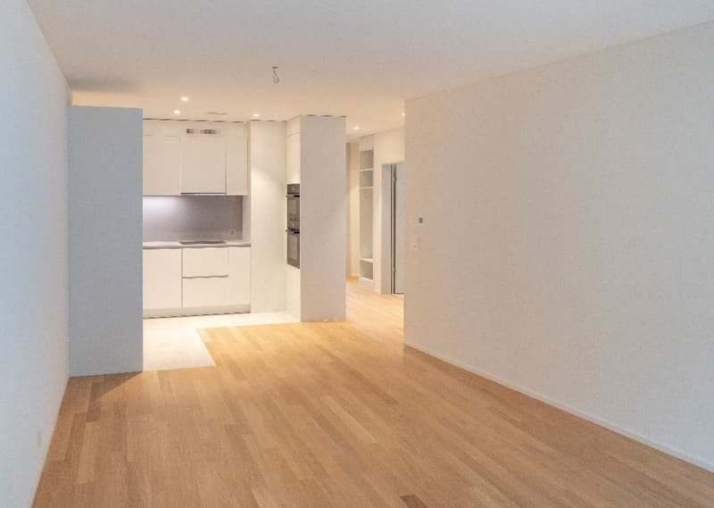 Clean, Quiet, Modern apartment just steps from Zurichsee (1)