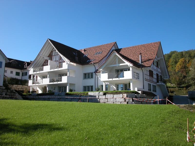 Duplex in Neerach (1)