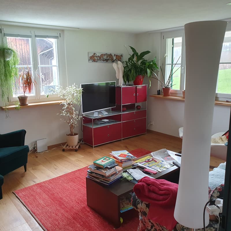 Duplex-/Maisonette-Wohnung in Herrliberg (2)