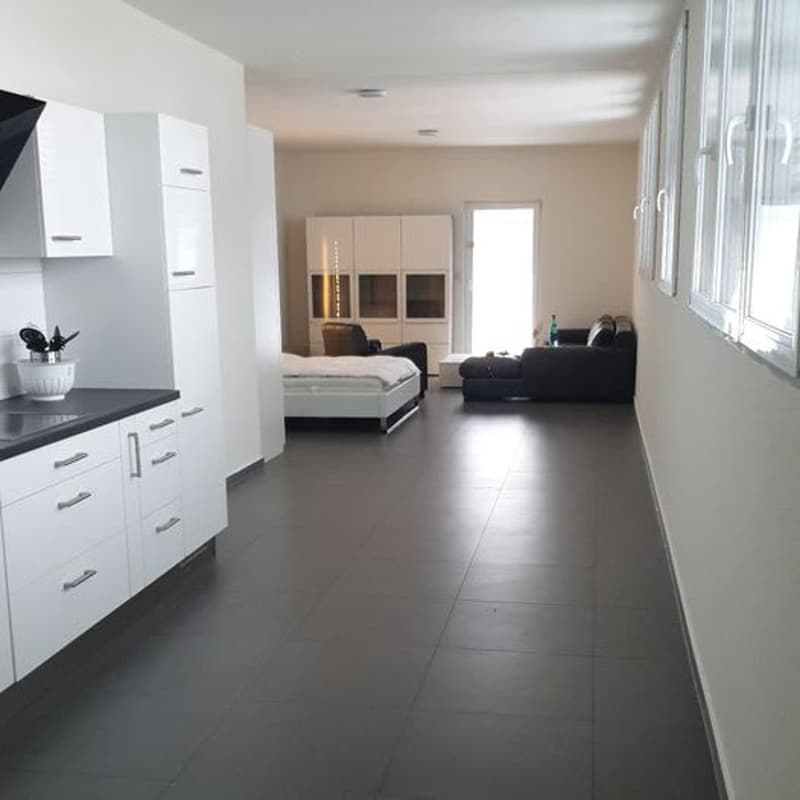 2-Zimmer Wohnung in Muttenz zu Vermieten (2)