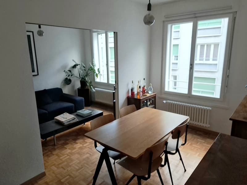 Appartement à Genève - Quartier des Bains (2)