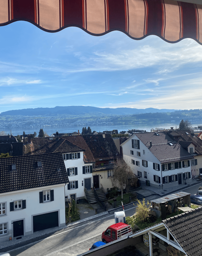 Aussergewöhnliche Duplex-/Maisonette-Wohnungen mit Sicht auf den Zürichsee und in die Berge (2)