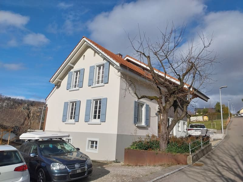 Doppeleinfamilienhaus in Duggingen (1)